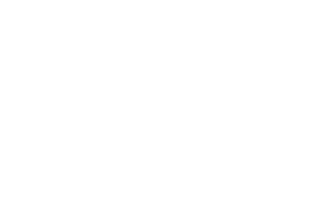 Empirian logo